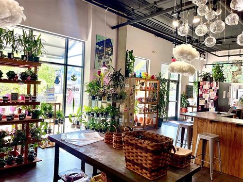Check out Lepley & Co. the full-service plant and florist shop at Northside Marketplace. 