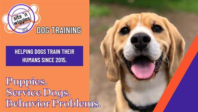Sits n Wiggles Dog Training