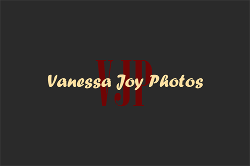 Gallery Image vjp-logo-1.png