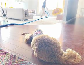 King's Cleaning Solutions
