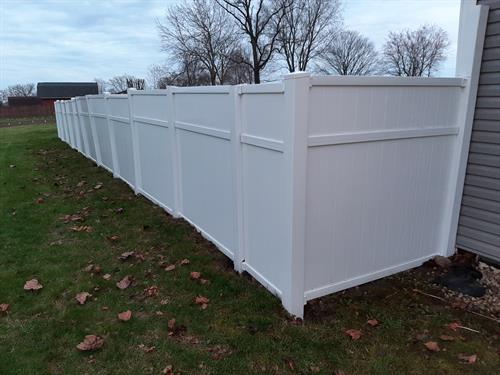 After we power washed the fence.