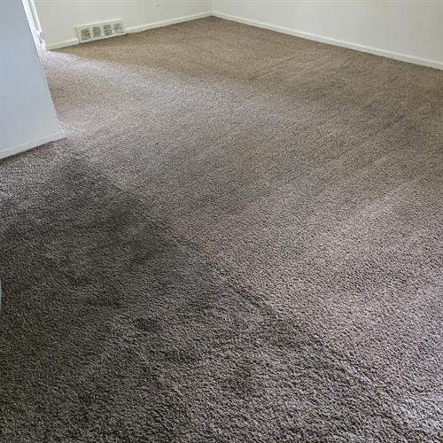 Carpet Cleaning