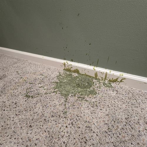 We specialize in spot treatments. Here a customer had a plug-in candle that spilled.