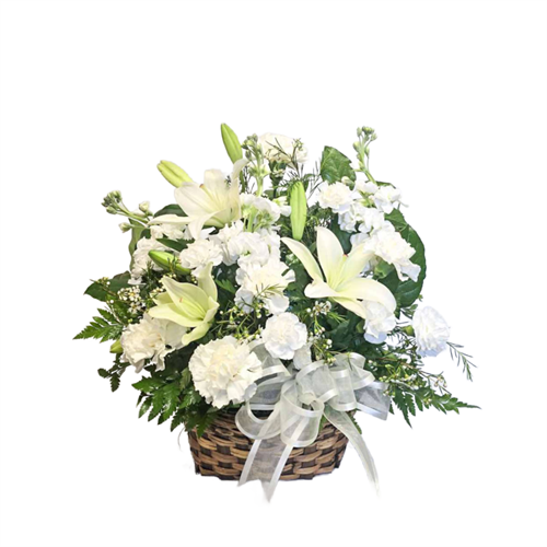 Gallery Image Instagram_Post-742.png