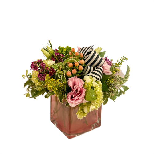 Gallery Image Instagram_Post-757.png