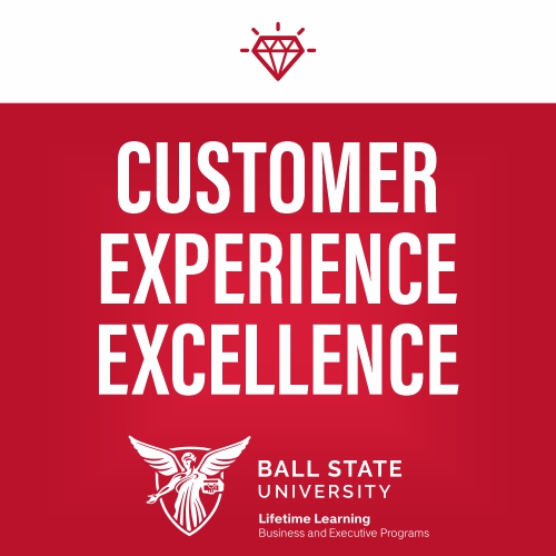 Customer Experience Excellence workshops or team consultations