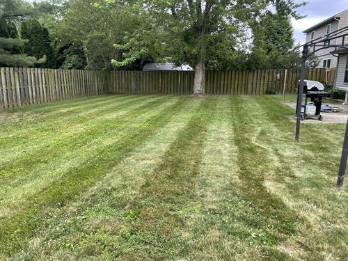 Residential mowing