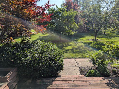 Gallery Image PXL_20250723_133415291.jpg