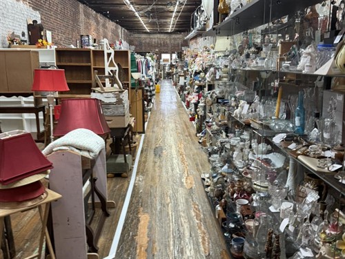 Gallery Image KAM3.jpg