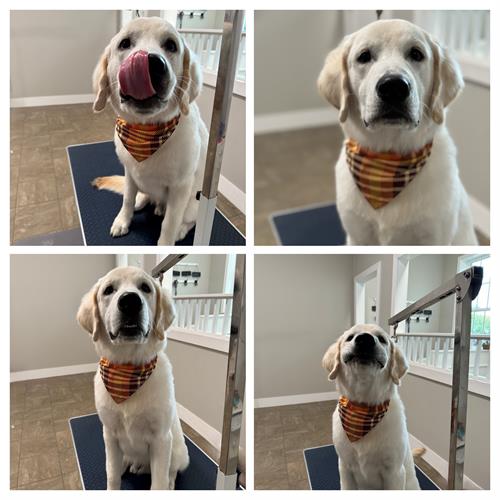 Cash came in to get cleaned up before his family photos. So, we did a photoshoot at the salon for him so he could practice his serious face…and his goofy faces!