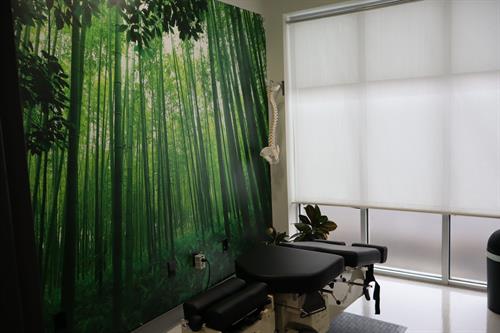 Flexion & Distraction