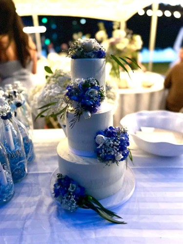 Gallery Image cake.jpg