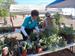 High Country Garden Club Annual Plant Sale