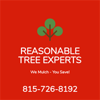 Reasonable Tree Experts