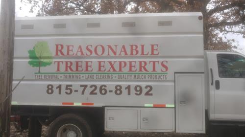 Gallery Image Tree_3.jpg Gallery Image Tree_3.jpg