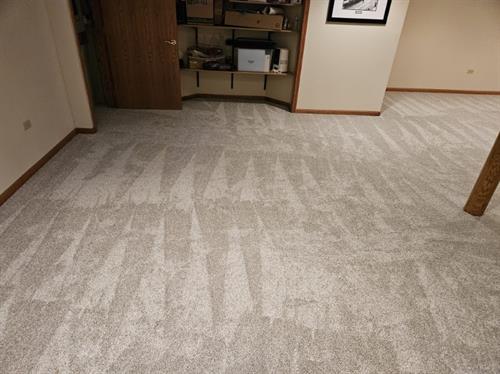 Plush Living room Carpet 