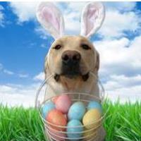 RUFF's Easter Brunch