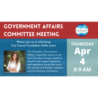 Chamber of Commerce Government Affairs Committee
