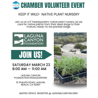 Chamber Volunteer Event with Laguna Canyon Foundation