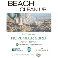 Aliso Beach Clean Up