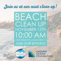 Beach Clean Up - Aliso Beach