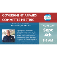 Chamber of Commerce Government Affairs Committee