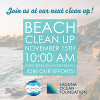 Beach Clean Up - Crescent Bay