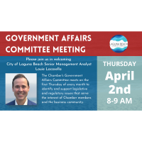 Chamber of Commerce Government Affairs Committee