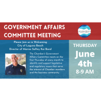 Chamber of Commerce Government Affairs Committee