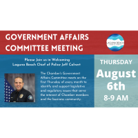 Chamber of Commerce Government Affairs Committee