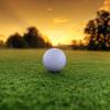 Annual Golf Tournament 2016