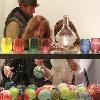 Sawdust Festival/Winter Fantasy Art Show