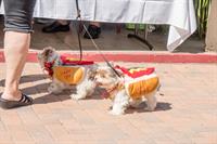 Laguna Board of REALTORS & Affiliates' Charitable Assistance Fund Presents the 23rd Annual Pet Parade and Chili Cook-off