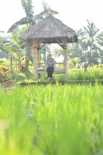 Rice field, Bali, Indonesia