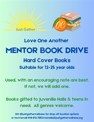 Gallery Image mentorbookdrive.png