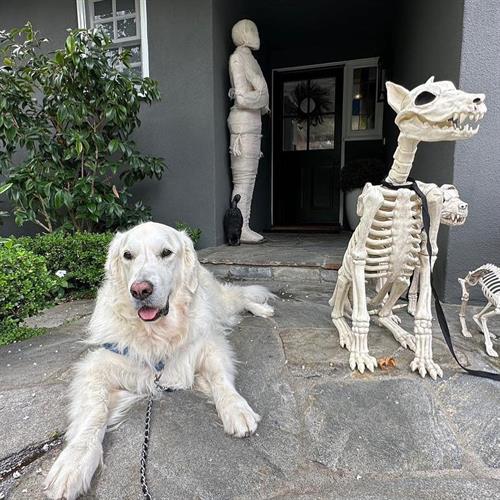 Gallery Image 04A64FB9-5E94-4B09-B26A-5F76815CDC62.jpeg