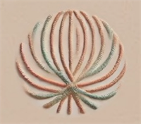 The Woven Word Therapy & Wellness
