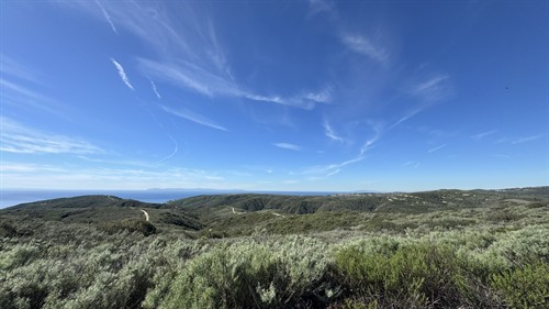 Laguna Canyon Wilderness Park