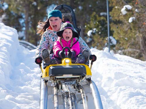 Everyone loves the Alpine Coaster...open all year