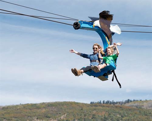 The Soaring Eagle Zip Ride in summer