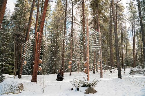 Gallery Image Forest_Spiral_PC_atrachelmarie_bock_2_(1).jpeg