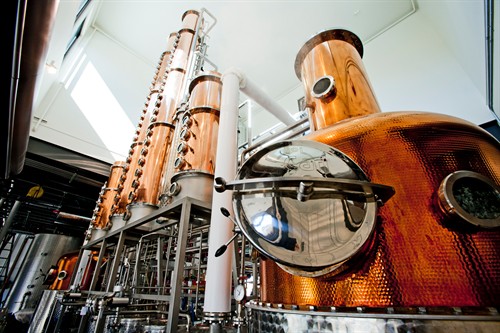 Gallery Image D-Stills-Comp-H-One.jpg Gallery Image D-Stills-Comp-H-One.jpg