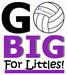 Go Big Volleyball Tournament to support Big Brothers Big Sisters