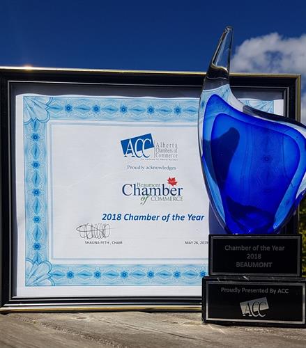 ACC Chamber of the Year Award 2018