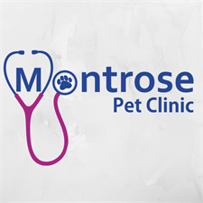 Montrose Pet Clinic
