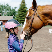 Windhorse Equine Learning