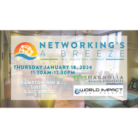 Gulf Breeze Area Chamber's Networking's A Breeze