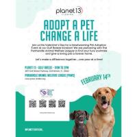 Adopt a Pet Change a Life