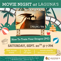 Movie Night: How To Train Your Dragon