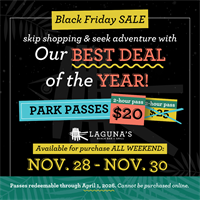 Laguna's Beach Bar + Grill - Pensacola Beach